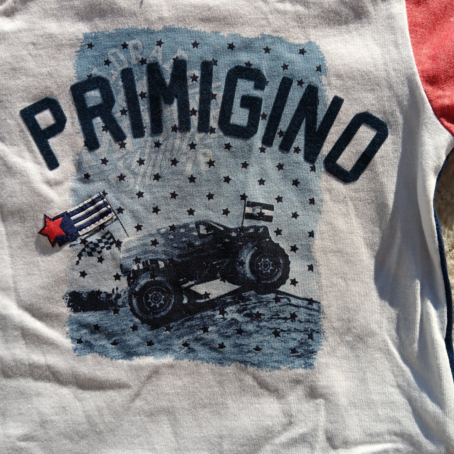 Tee-shirt primigino bébé garçon